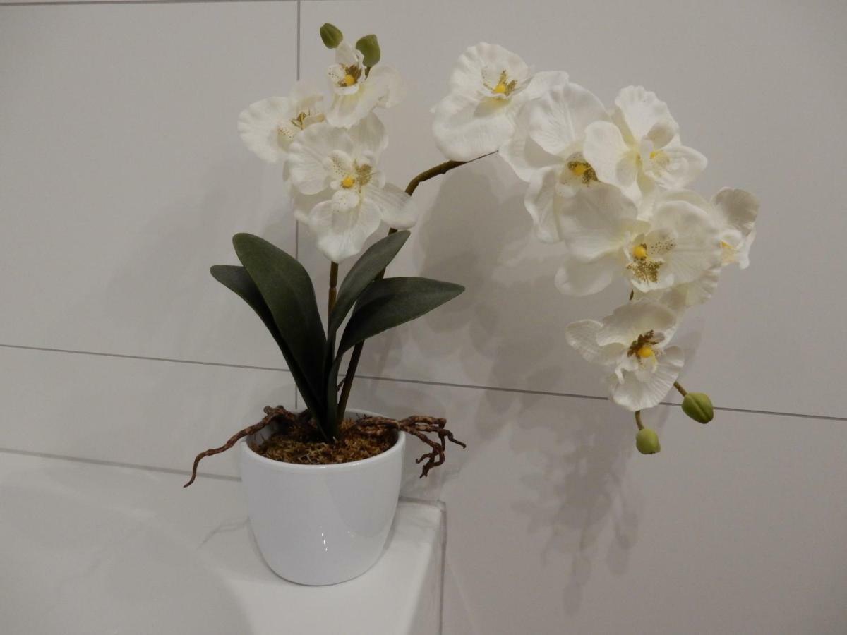 Ferienwohnung Fernblick Neukirchen vorm Wald 外观 照片