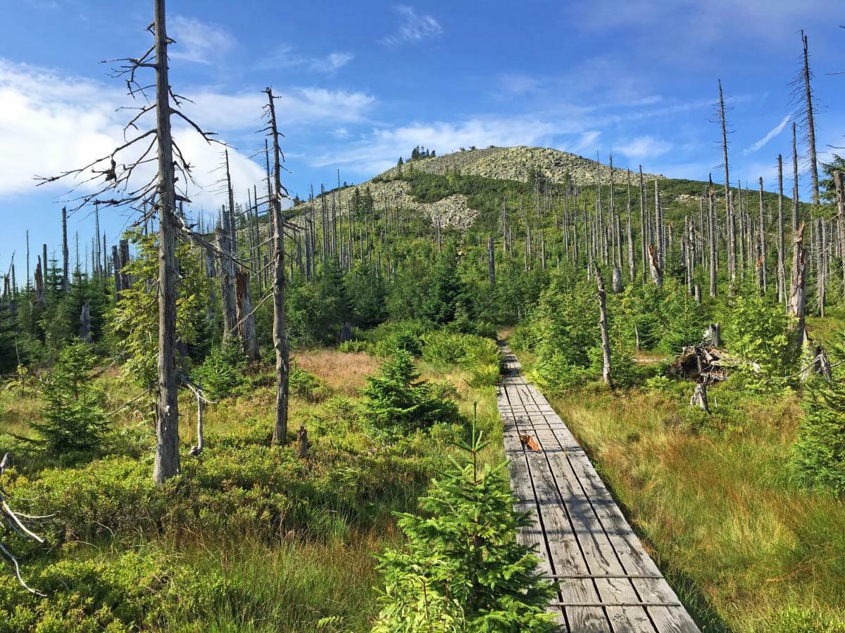 Ferienwohnung Fernblick Neukirchen vorm Wald 外观 照片